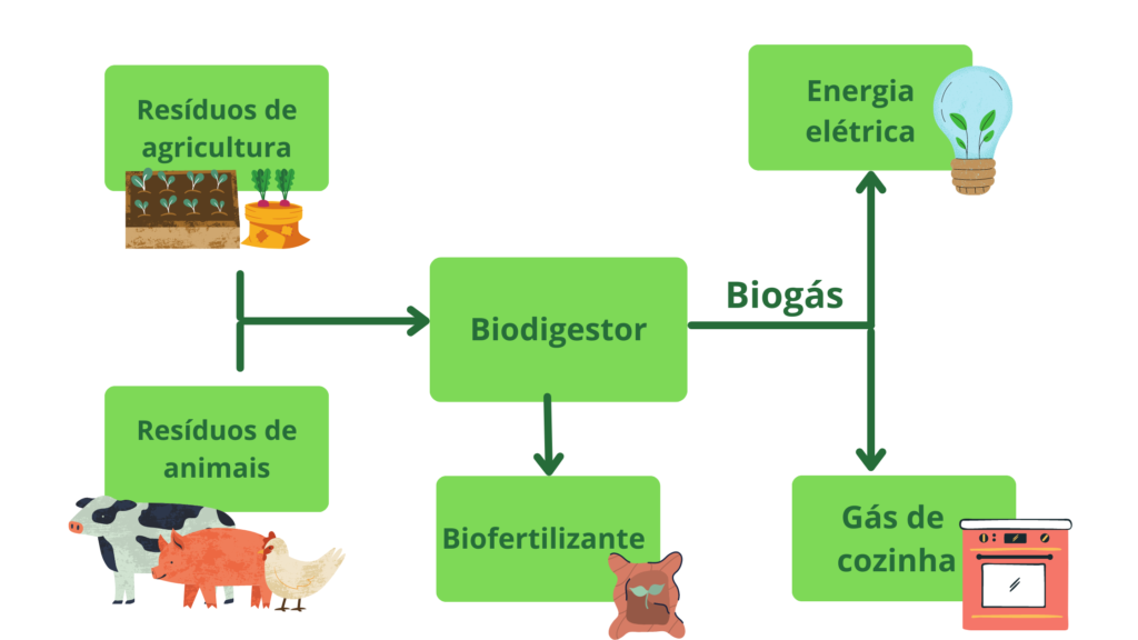esquema visual demonstra as possibilidades de aproveitamento com o biodigestor. Na imagem os residuos animais e da agricultura são encaminhados a uma biodigestor, produzindo, dessa forma, o biofertilizante e o biogás. O biogás, por sua vez, causa a produção de energia elétrica e de gás de cozinha.